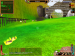 shot00005.png